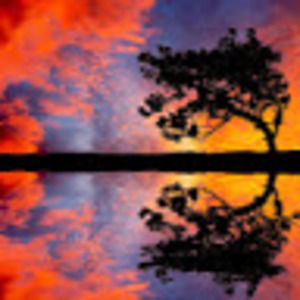 Meet your Posher, Ella